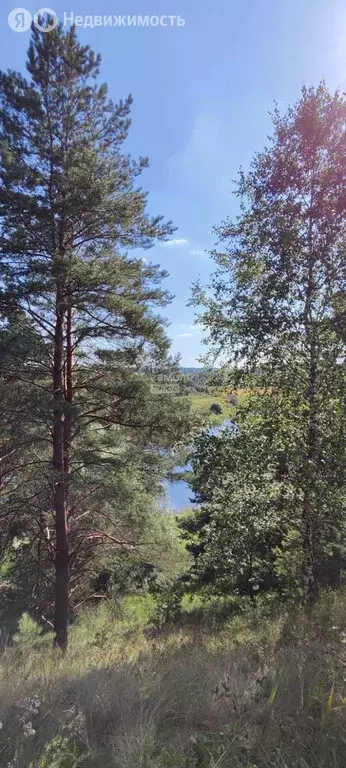 Участок в Московская область, городской округ Солнечногорск, деревня ... - Фото 0