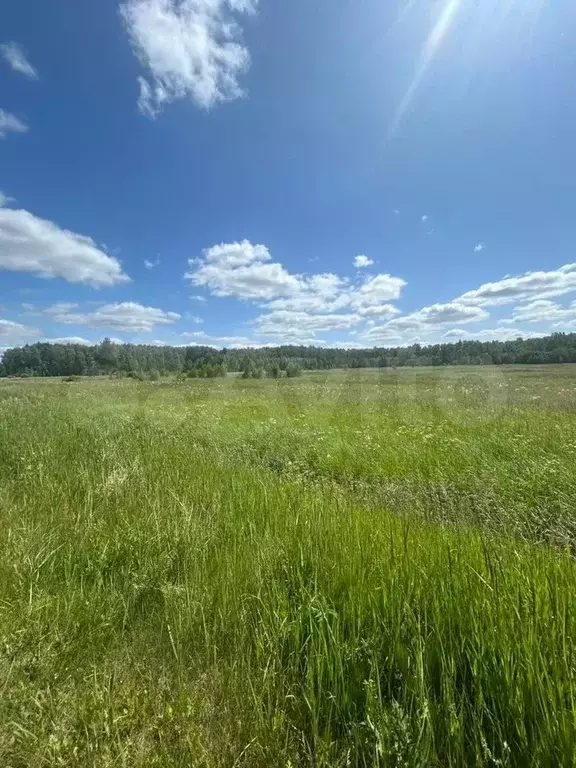 Участок 4,66 га (личное подсобное хозяйство (лпх)) - Фото 0
