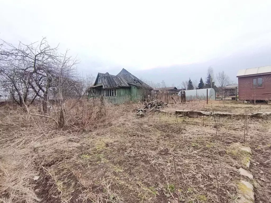 Участок в Санкт-Петербург пос. Усть-Ижора, Шлиссельбургское ш., 113 ... - Фото 2