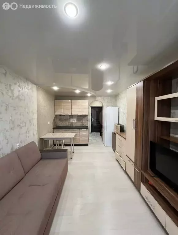 Квартира-студия: посёлок Садаковский, Московская улица, 53Б (25 м) - Фото 2