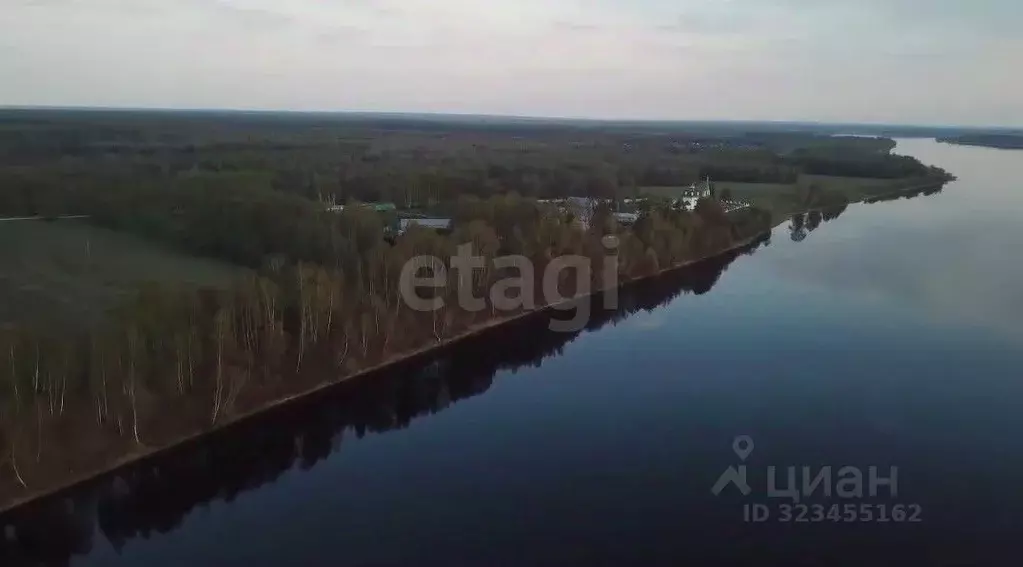 Участок в Ярославская область, Некрасовский муниципальный округ, д. ... - Фото 2