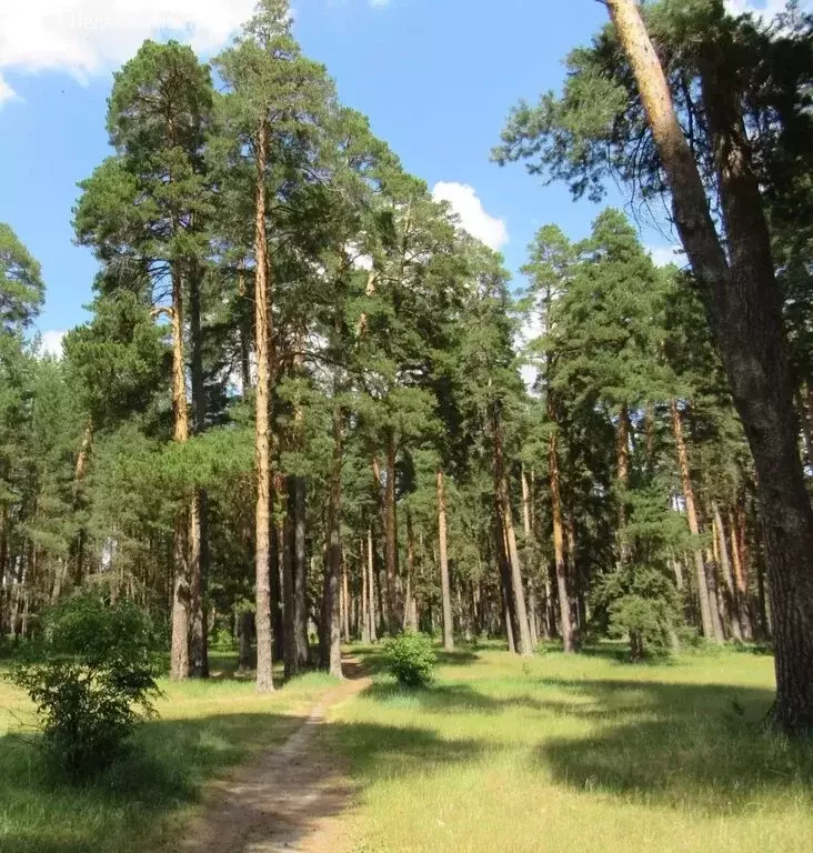 Участок в Свердловская область, Каменский муниципальный округ, деревня ... - Фото 1