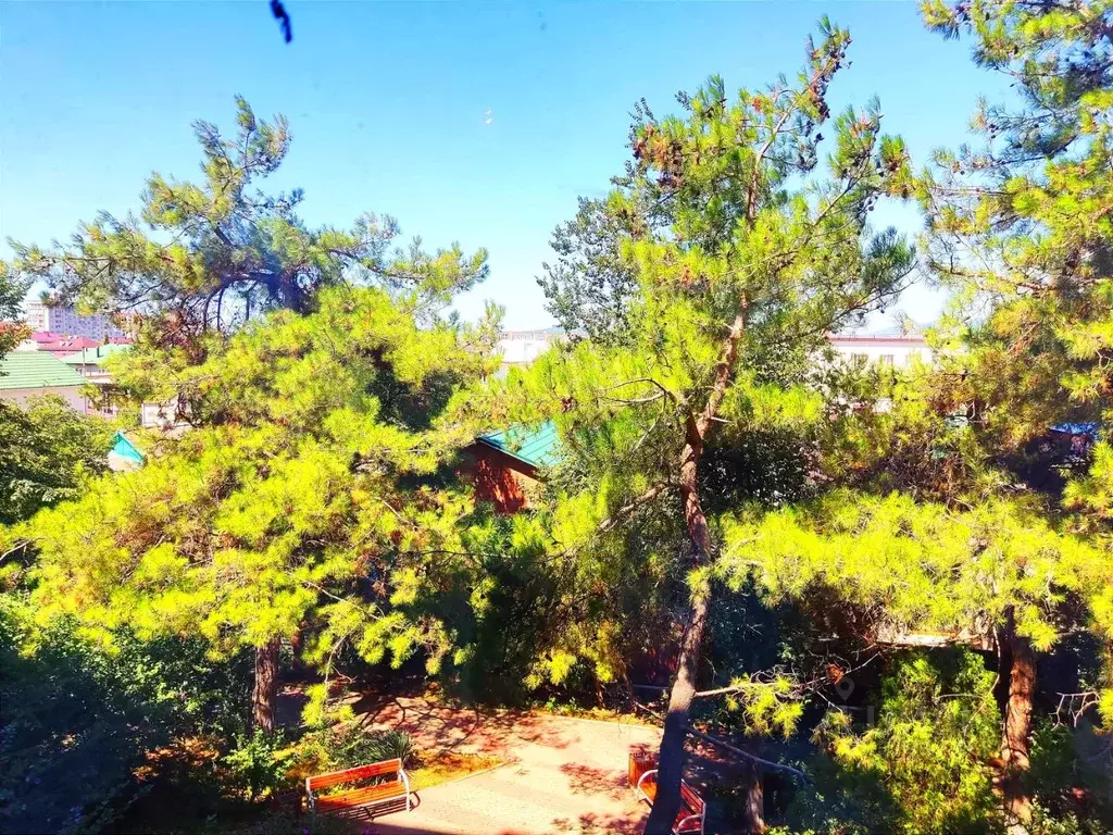 1-к кв. Краснодарский край, Геленджик Советская ул., 66 (40.0 м) - Фото 1