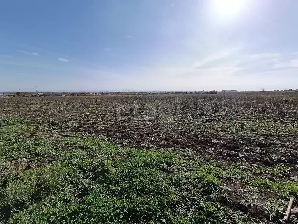 Участок в Крым, Первомайский район, с. Гвардейское  (24.0 сот.) - Фото 0