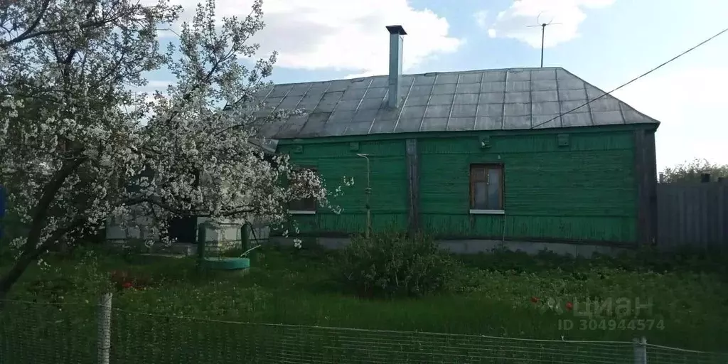 Дом в Воронежская область, Аннинское городское поселение, Анна пгт ул. ... - Фото 0