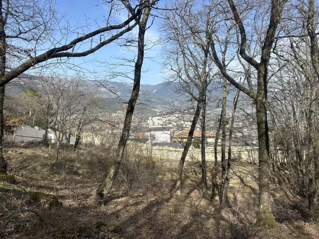 Участок в Крым, Ялта муниципальный округ, Виноградное пгт  (11.85 ... - Фото 1