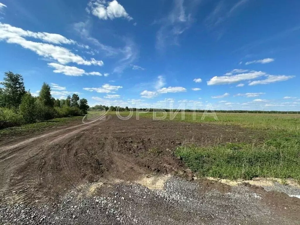 Участок в Тюменская область, Тюменский муниципальный округ, д. Елань ... - Фото 2