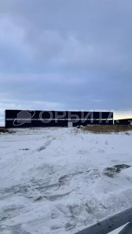 Помещение свободного назначения в Тюменская область, Тюмень ... - Фото 0
