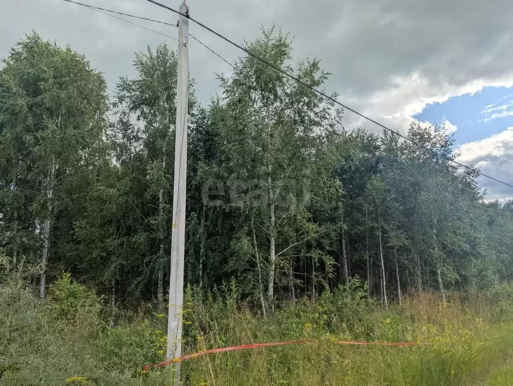 Участок в Новосибирская область, Новосибирский район, Морской ... - Фото 1