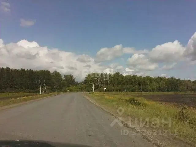 Участок в Свердловская область, Белоярский муниципальный округ, пос. ... - Фото 1
