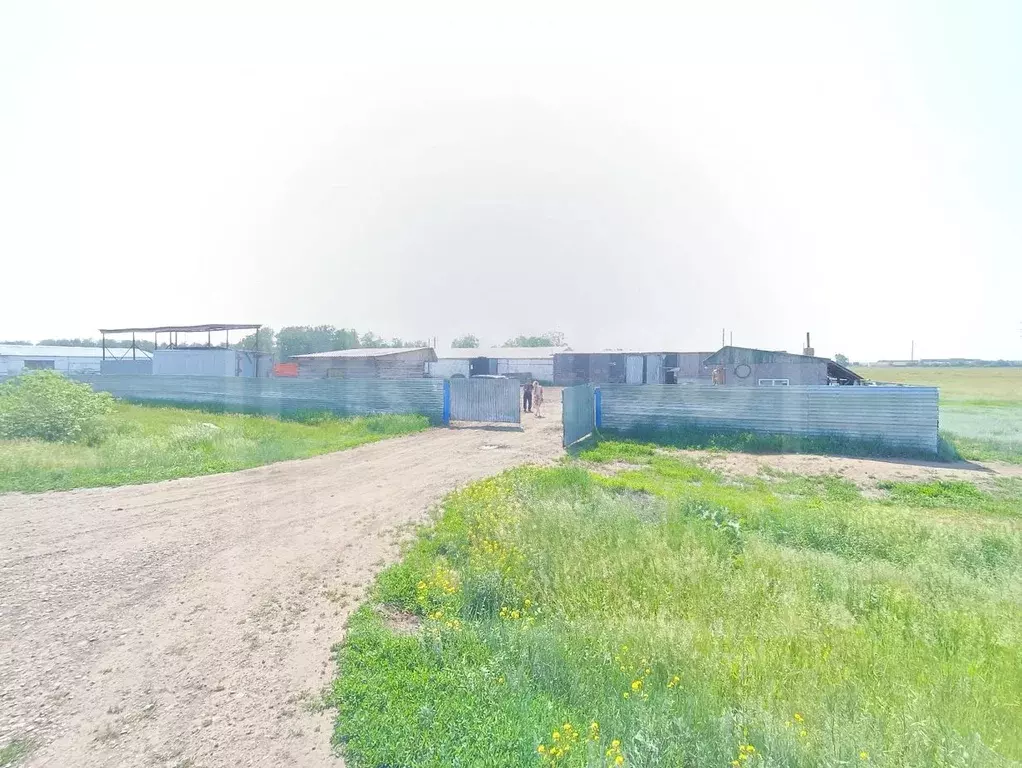 Участок в Омская область, Исилькуль ул. Энергетиков, 3Б (3000.0 сот.) - Фото 0