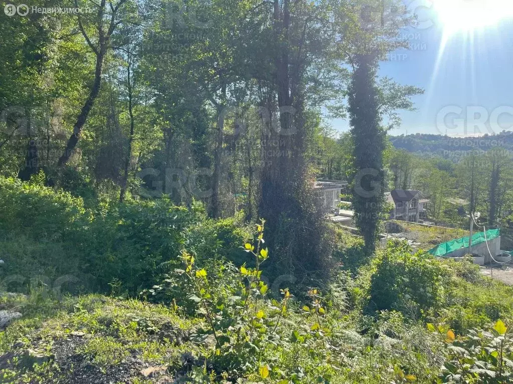 Участок в Краснодарский край, городской округ Сочи, село Васильевка, ... - Фото 0