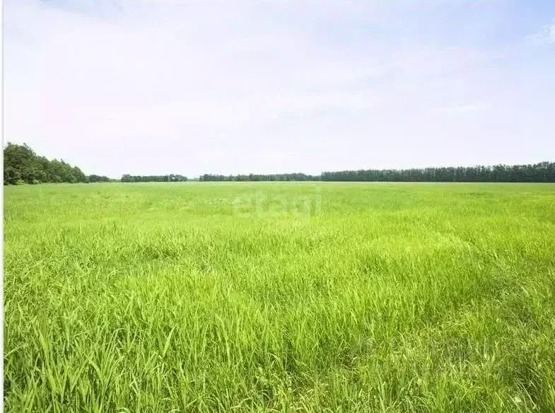 Участок в Свердловская область, Заречный  (600.0 сот.) - Фото 0