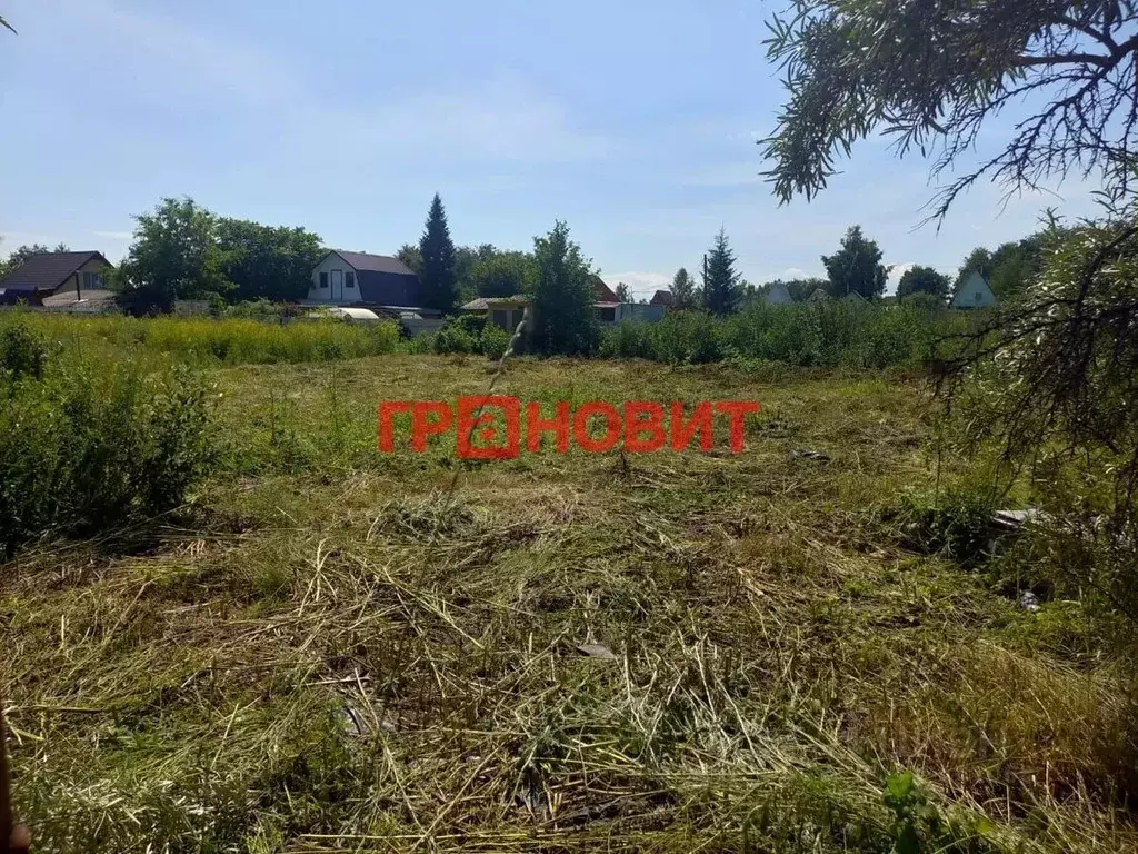 Участок в Новосибирская область, Ордынское рп, Рябинка СНТ ул. ... - Фото 1