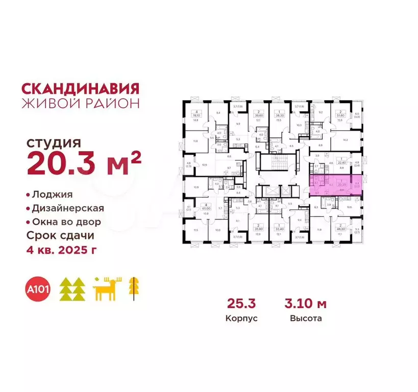 Квартира-студия, 20,3 м, 13/17 эт. - Фото 1