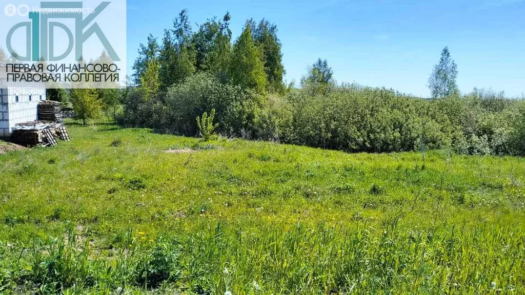 Участок в Нижегородская область, городской округ Арзамас, село ... - Фото 2