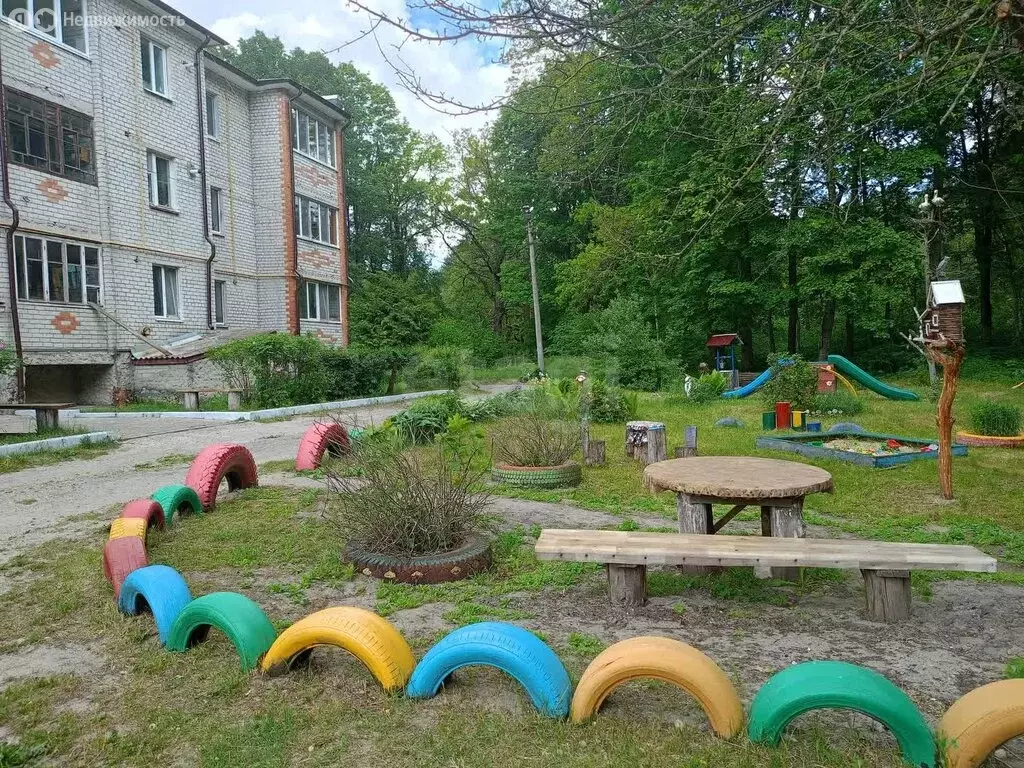 1-комнатная квартира: посёлок Синезёрки, Санаторная улица, 1А (38.7 м) - Фото 1