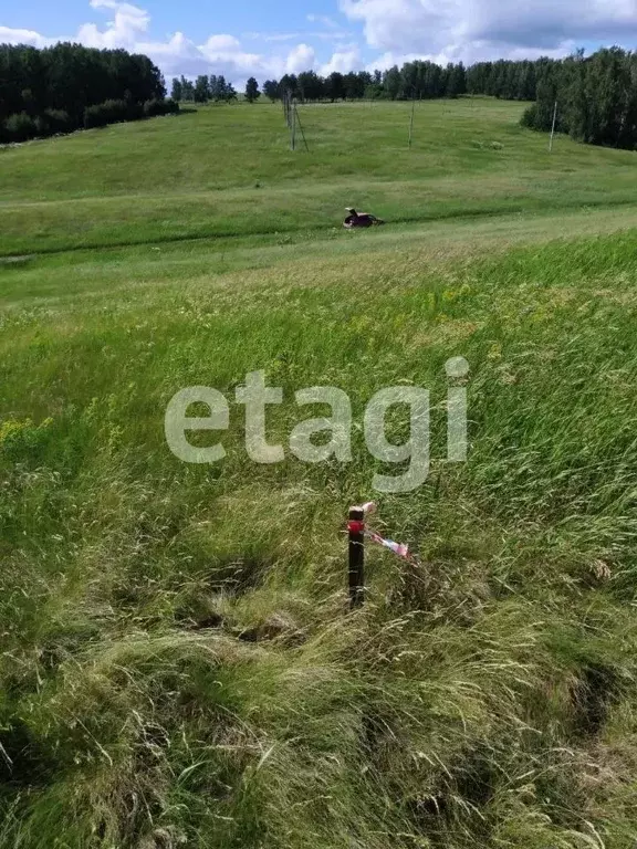 Участок в Красноярский край, Красноярск  (34.92 сот.) - Фото 1