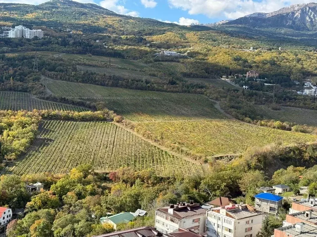 2-к кв. Крым, Ялта ул. Кирова, 155Ак2 (69.0 м) - Фото 2