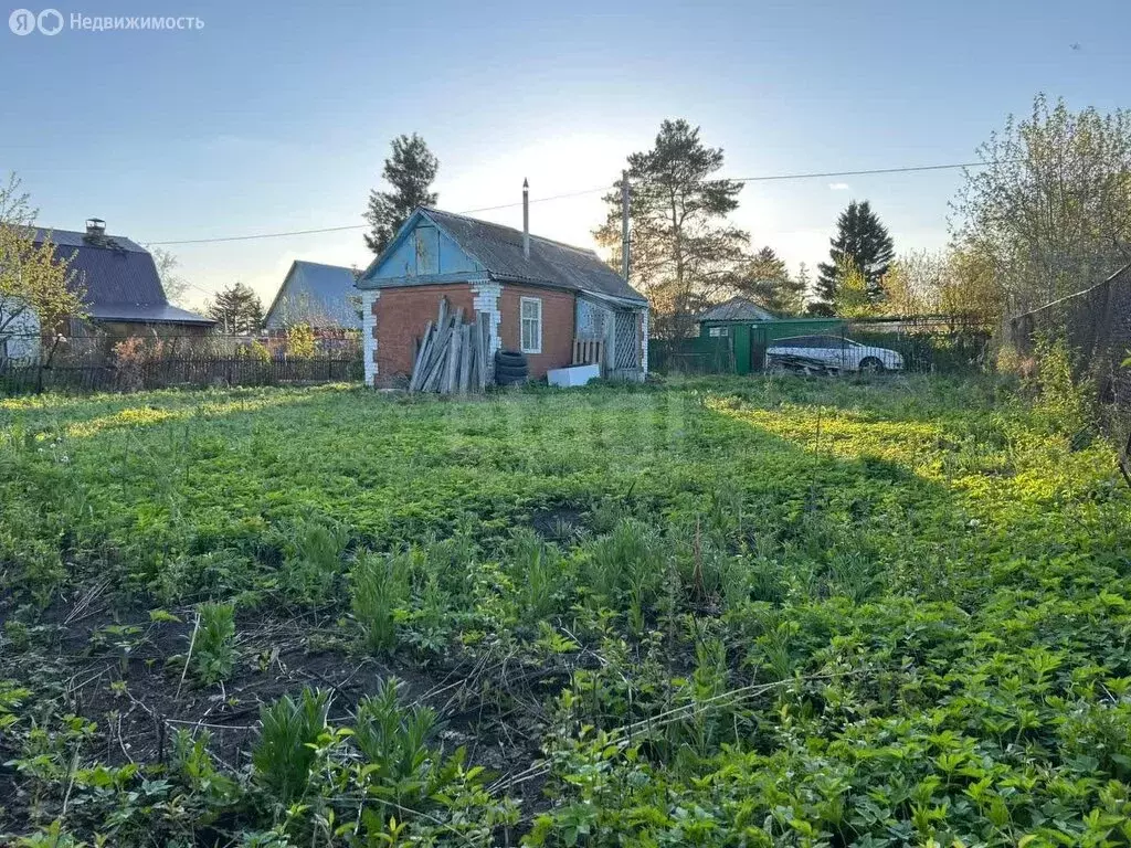 Дом в Омск, территория СОСН Амурский, 4-я аллея (15 м) - Фото 0