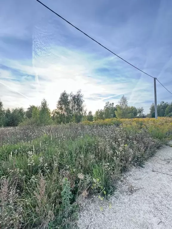 Участок в Нижегородская область, Кстовский муниципальный округ, с. ... - Фото 0