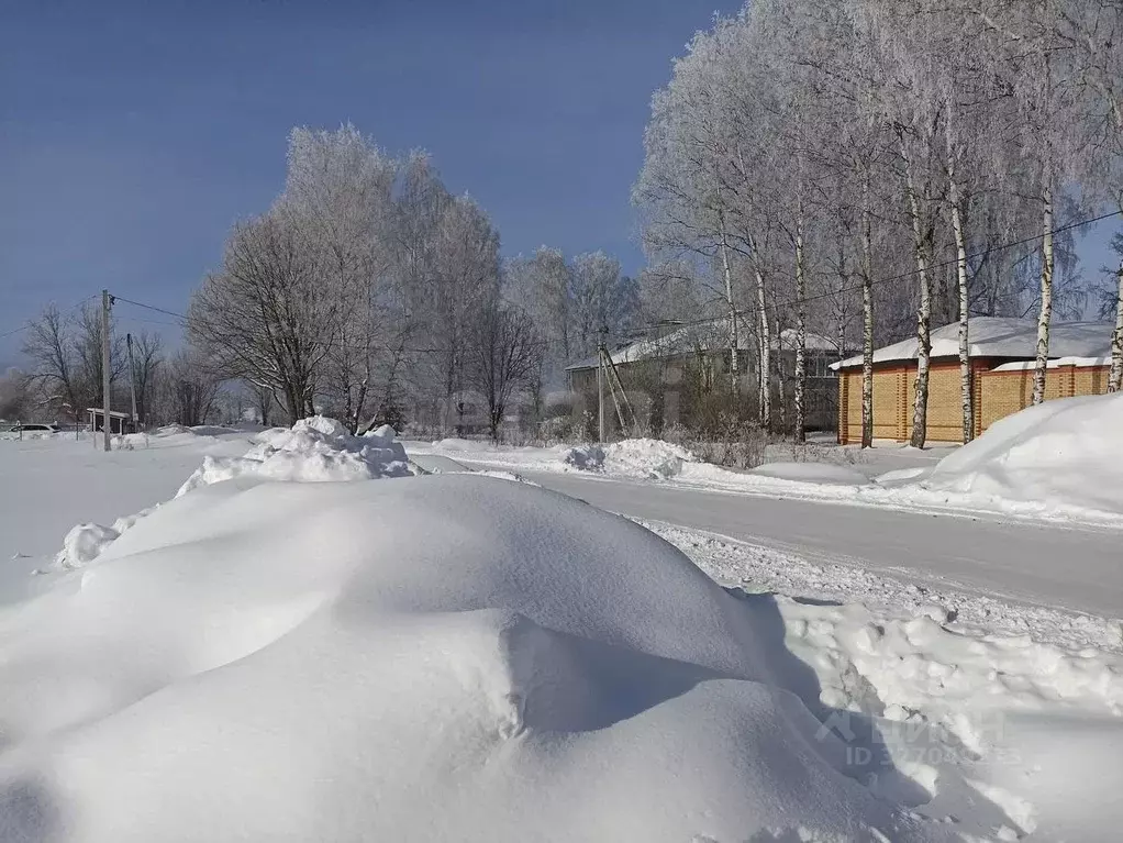 Участок в Ярославская область, Ярославский муниципальный округ, д. ... - Фото 2