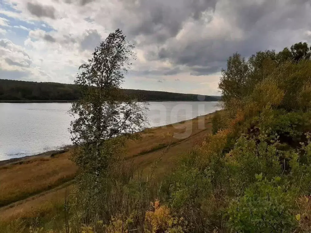 Участок в Кемеровская область, Кемеровский муниципальный округ, Дом у ... - Фото 1