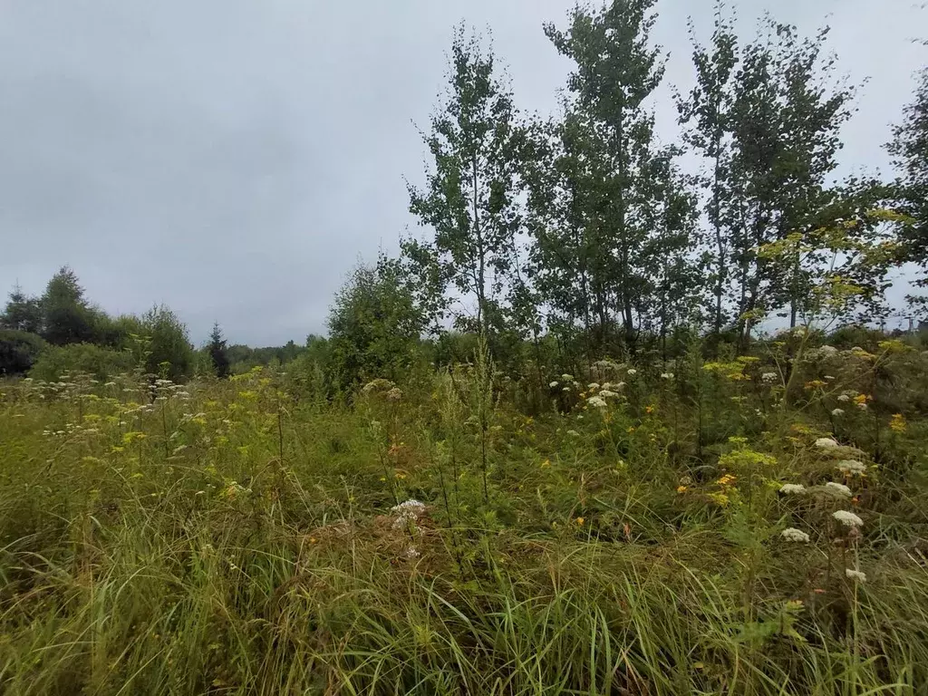 Участок в Московская область, Наро-Фоминский городской округ, д. ... - Фото 1