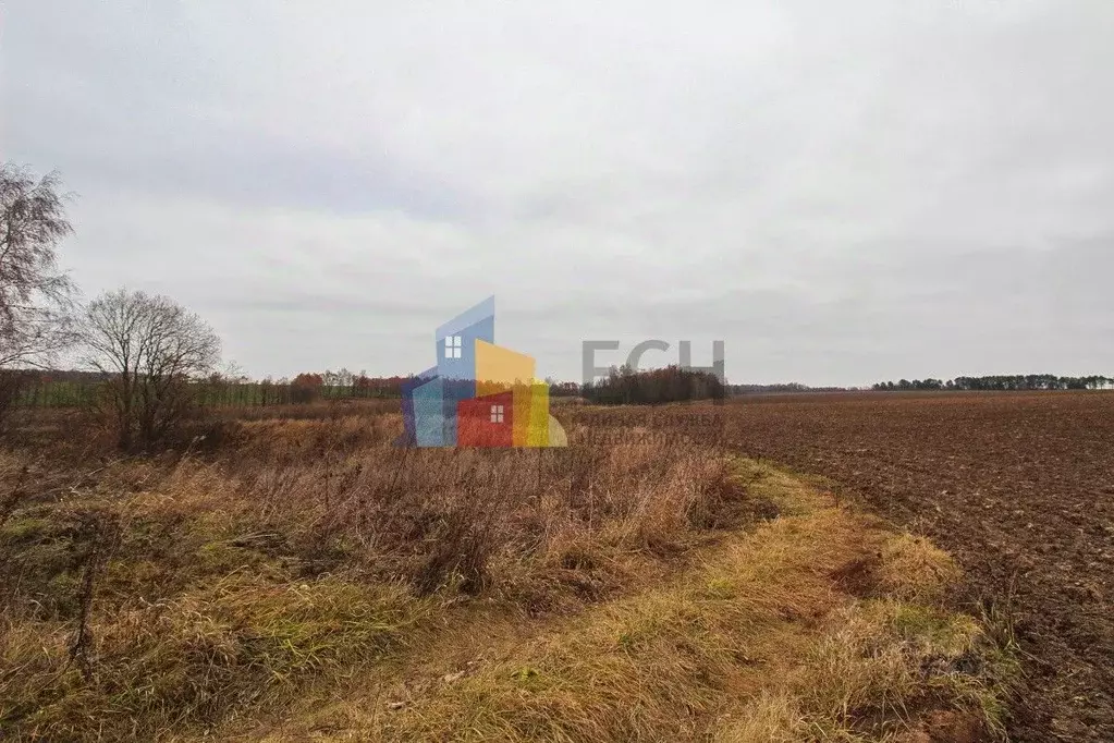 Участок в Тульская область, Заокский район, Демидовское с/пос, пос. ... - Фото 2