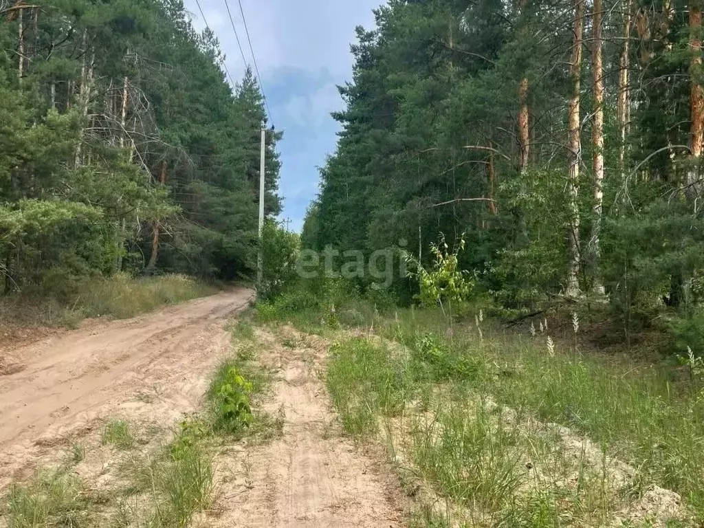 Участок в Тамбовская область, Тамбовский муниципальный округ, Луговое ... - Фото 1