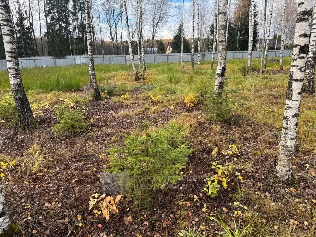 Участок в Москва Кристалл СНТ, 16 (7.5 сот.) - Фото 2