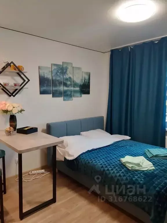 Студия Санкт-Петербург дор. Муринская, 25к2 (20.0 м) - Фото 1