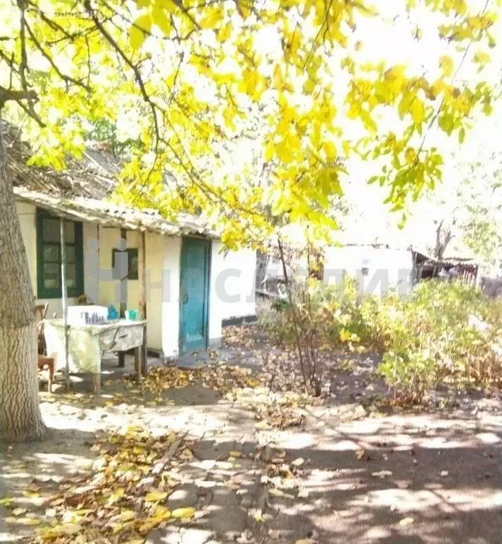 Дом в Донецк, переулок Кузнецова (48 м) - Фото 0