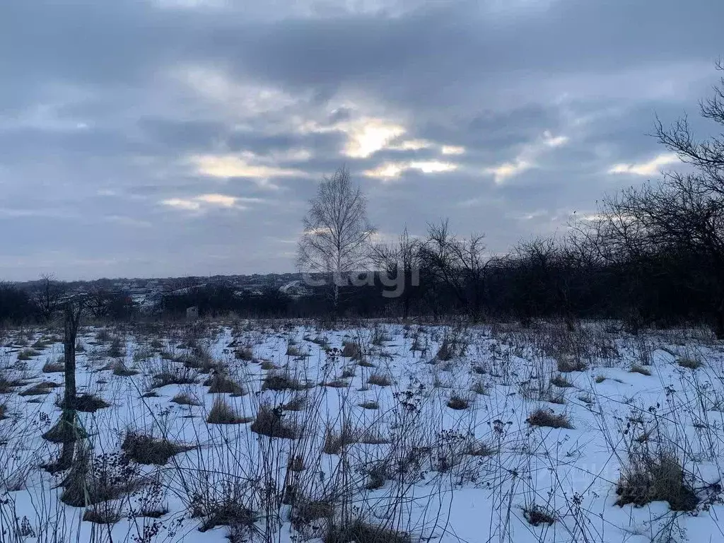 Участок в Белгородская область, Белгородский район, Новосадовское ... - Фото 0