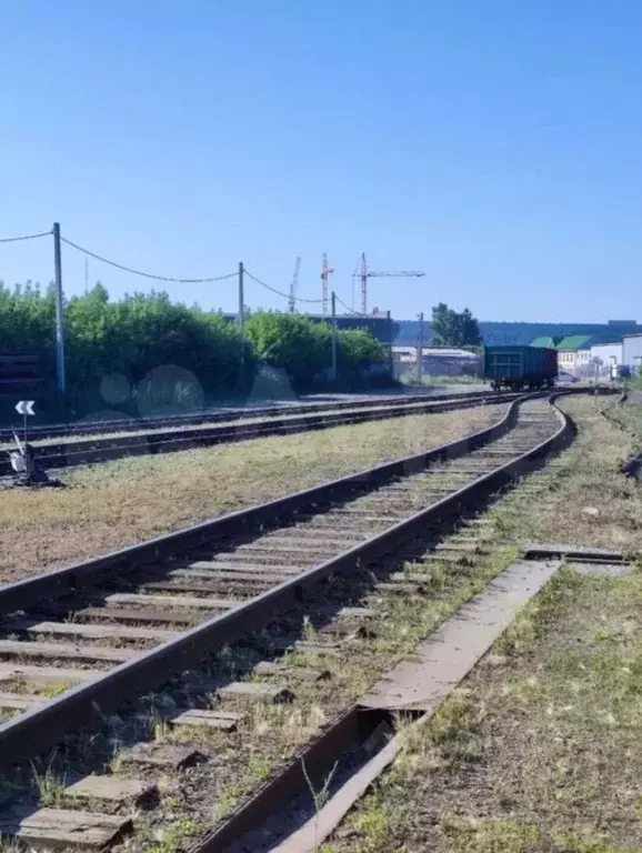 Участок в Алтайский край, Барнаул ул. Чернышевского, 282В (30.0 сот.) - Фото 1