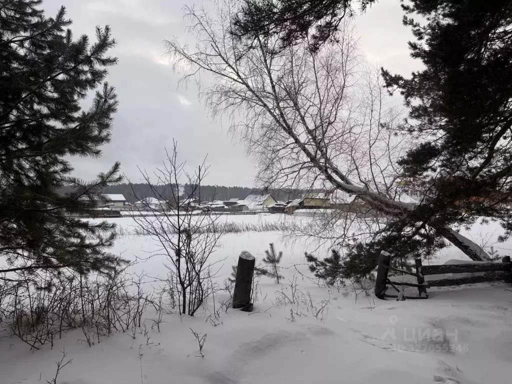 Участок в Иркутская область, Тайшетский район, Старо-Акульшетское ... - Фото 2