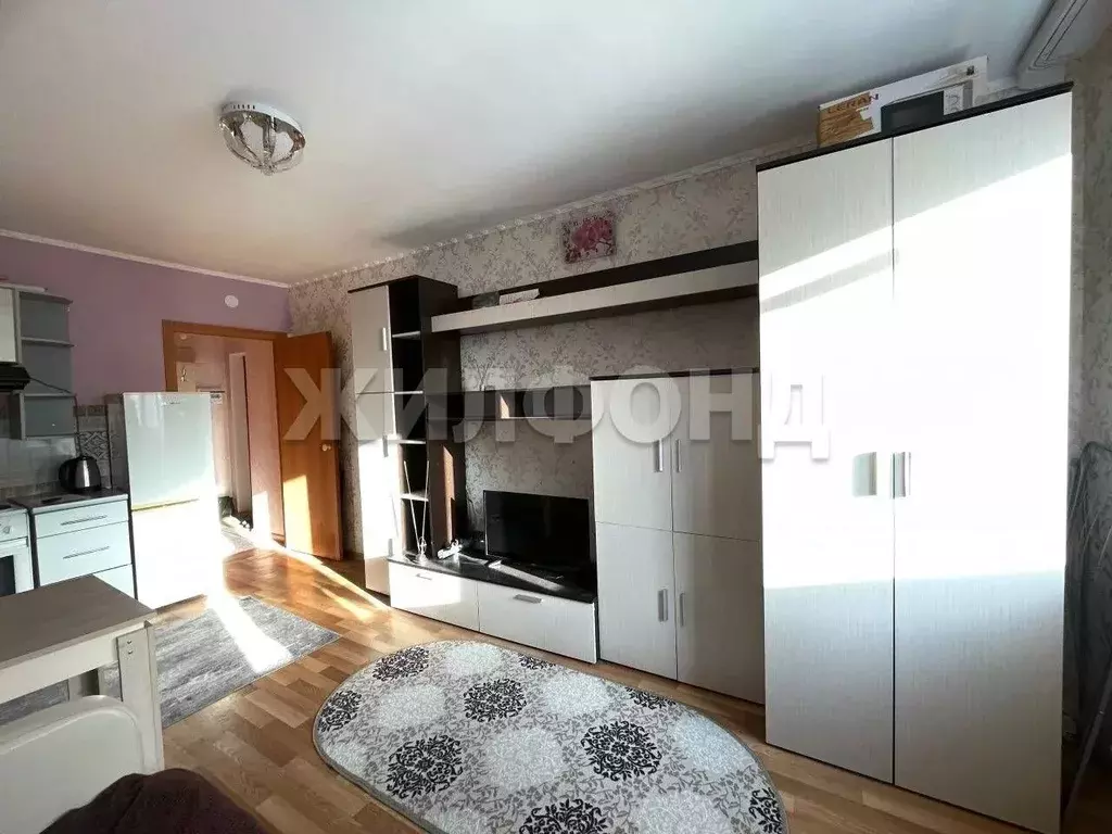 1-к кв. Московская область, Клин Клинская ул., 28 (21.0 м) - Фото 1