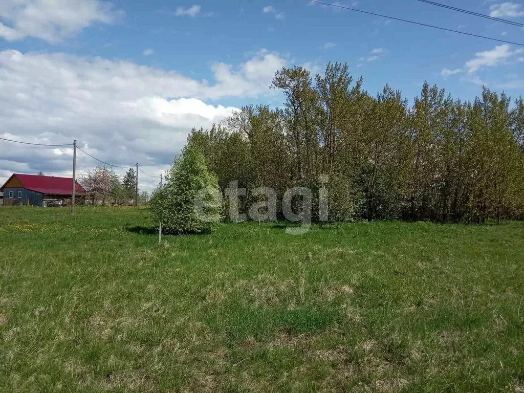 Участок в Вологодская область, д. Кочеурово  (30.0 сот.) - Фото 0