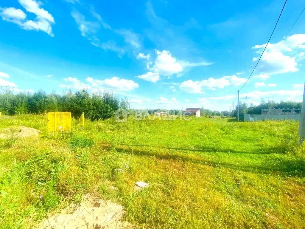 Участок в Владимирская область, Кольчугинский муниципальный округ, с. ... - Фото 1