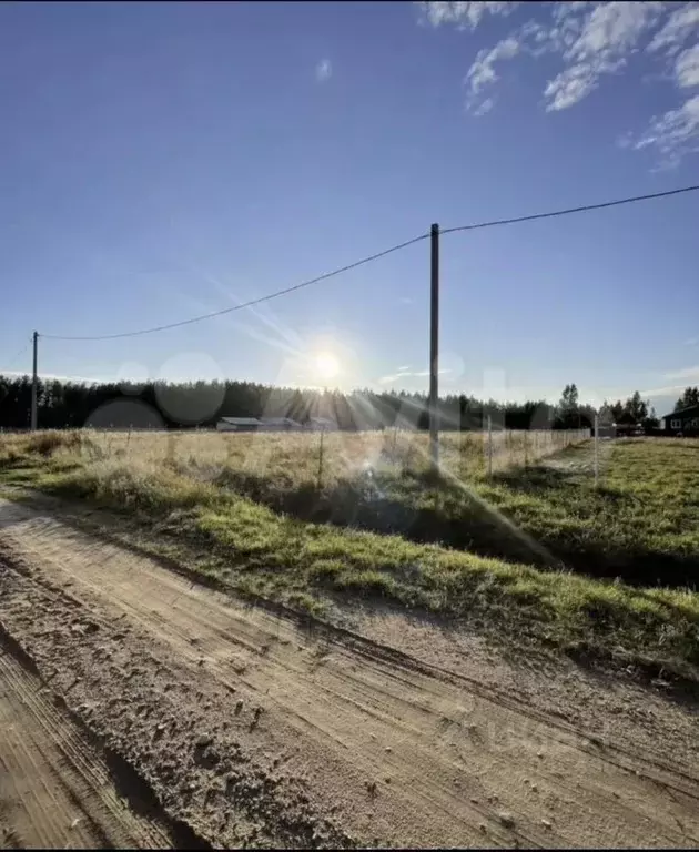 Участок в Новгородская область, Новгородский район, Ракомское с/пос, ... - Фото 2
