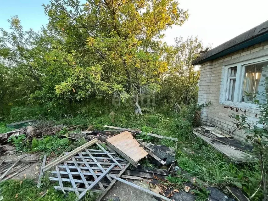 Участок в Нижегородская область, Нижний Новгород Маяк садовое ... - Фото 1