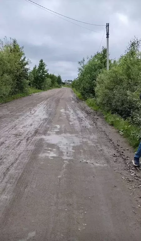 Участок 16,5 сот. (ИЖС) - Фото 1