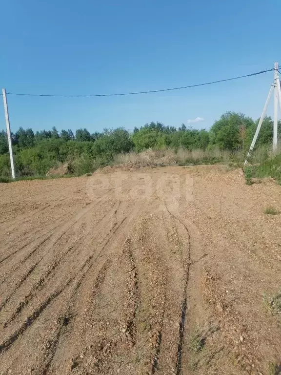 Участок в Амурская область, Благовещенский район, Станичное тер.  ... - Фото 1