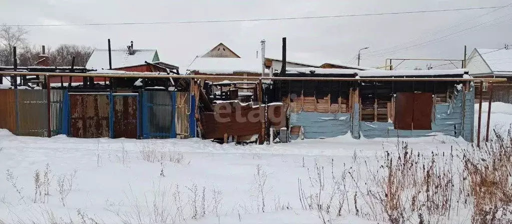 Участок в Курганская область, Петуховский муниципальный округ, с. ... - Фото 1