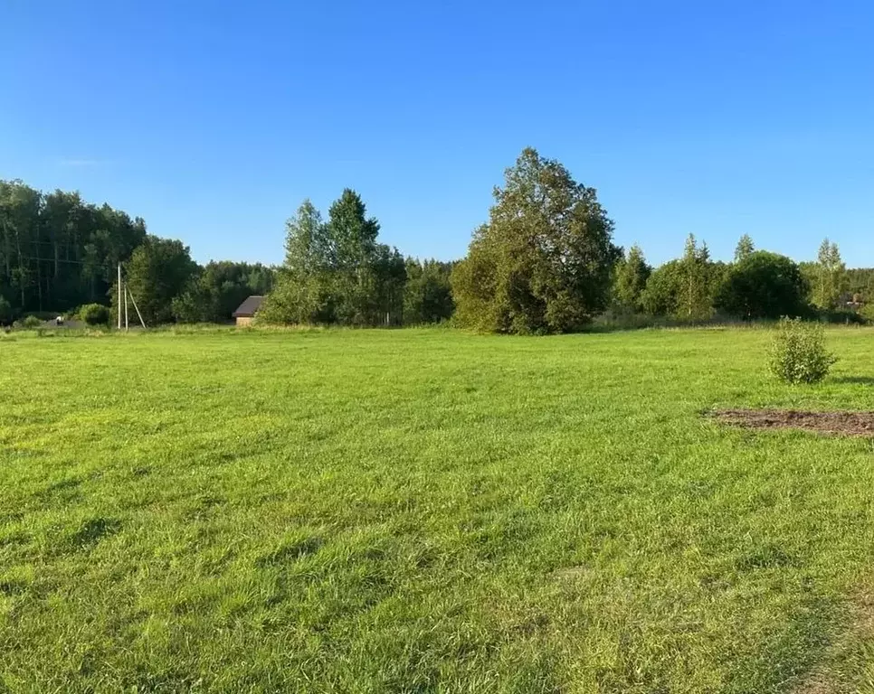 Участок в Калужская область, Совхоз Боровский с/пос, д. Комлево  (10.0 ... - Фото 2