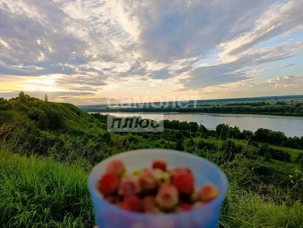 Участок в Рязанская область, Рыбновский муниципальный округ, с. ... - Фото 1