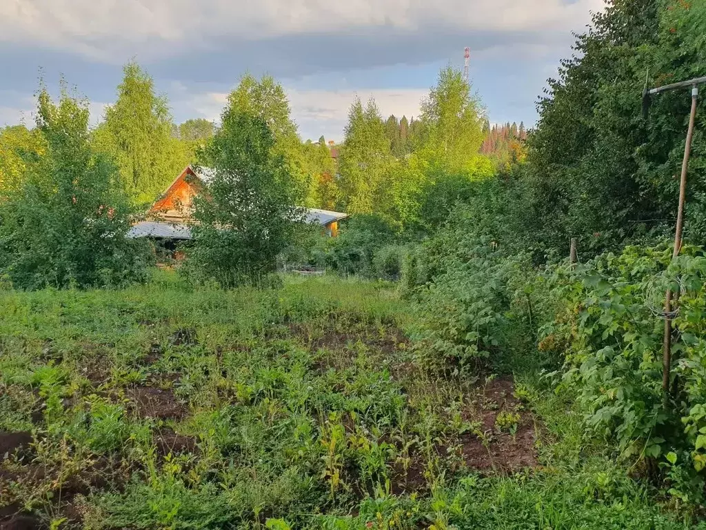 Дом в Пермский край, Пермский муниципальный округ, с. Нижние Муллы ул. ... - Фото 2