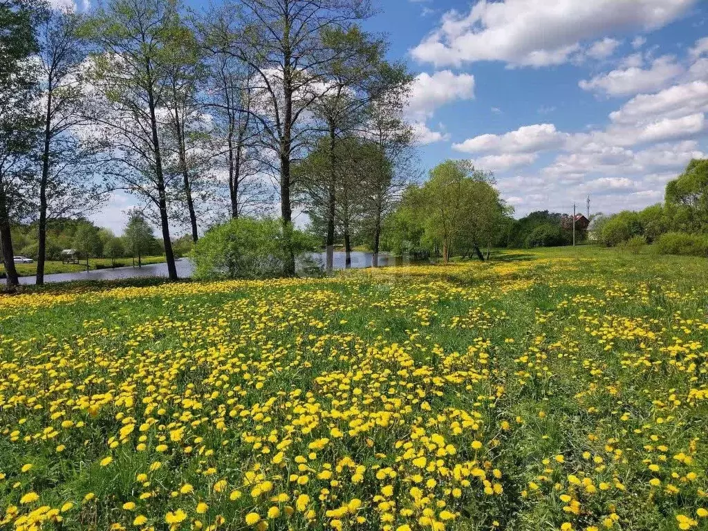 Участок в Калужская область, Калуга  (95.14 сот.) - Фото 2