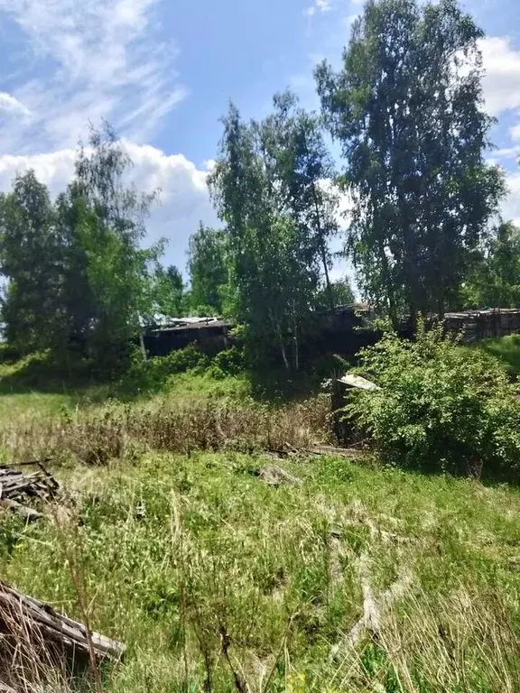 Участок в Хакасия, Сорск Усть-Абаканский район, Таежная ул. (10.0 ... - Фото 0
