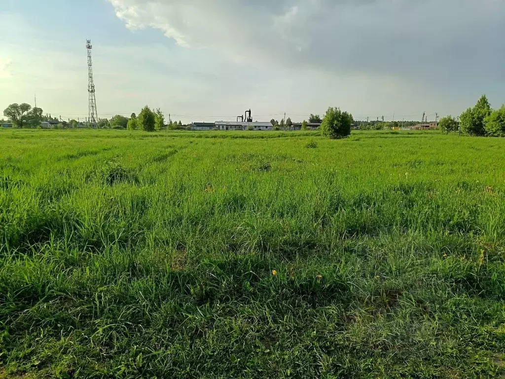 Участок в Московская область, Ступино городской округ, с. Ивановское ... - Фото 1